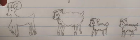 Sheep
