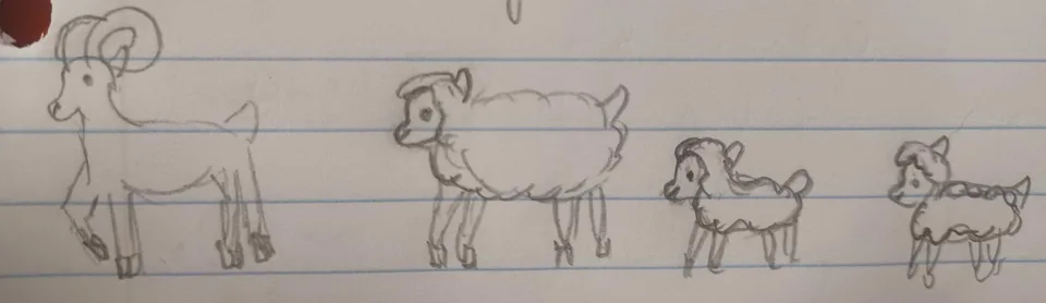 Sheep